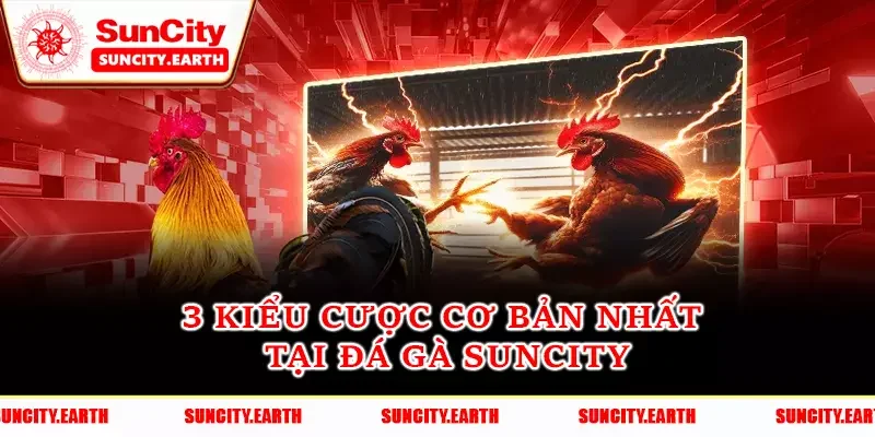 Thắng - Hoà - Thua là kiểu cược cơ bản nhất Thắng - Hoà - Thua là kiểu cược cơ bản nhất