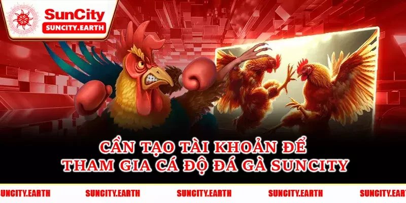 Cần tạo tài khoản để tham gia cá độ đá gà Suncity Cần tạo tài khoản để tham gia cá độ đá gà Suncity