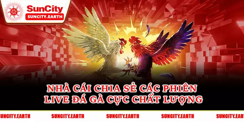 Nhà cái chia sẻ các phiên live đá gà cực chất lượng Nhà cái chia sẻ các phiên live đá gà cực chất lượng