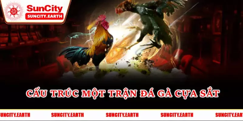 Sơ lược cấu trúc một trận đá gà cựa sắt Sơ lược cấu trúc một trận đá gà cựa sắt