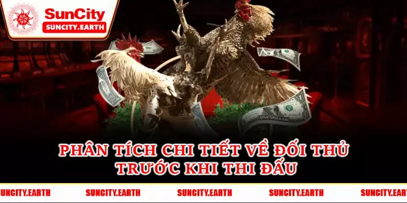 Phân tích chi tiết về đối thủ trước khi thi đấu Phân tích chi tiết về đối thủ trước khi thi đấu