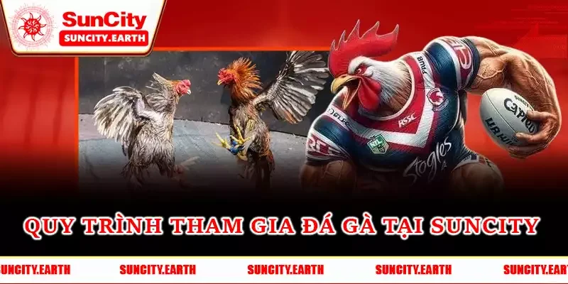 Quy trình tham gia đá gà tại Suncity Quy trình tham gia đá gà tại Suncity