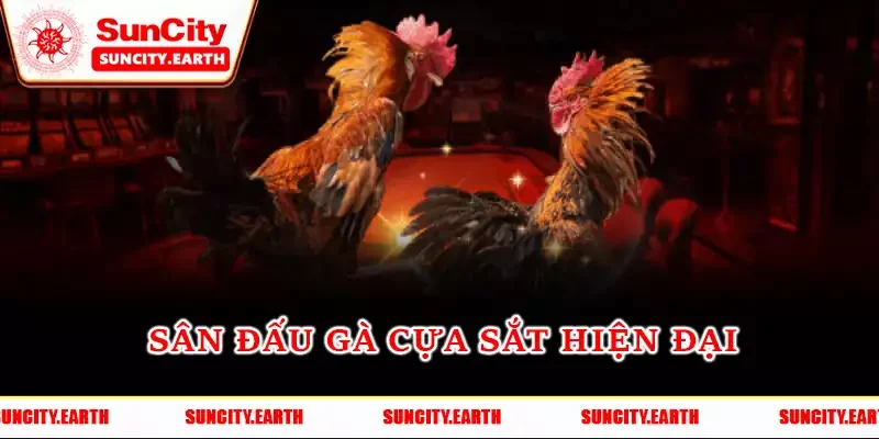 Sân đấu gà cựa sắt hiện đại Sân đấu gà cựa sắt hiện đại